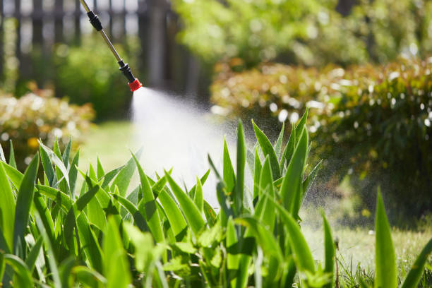 24/7 Emergency Mosquito Control experts in Keenesburg, CO